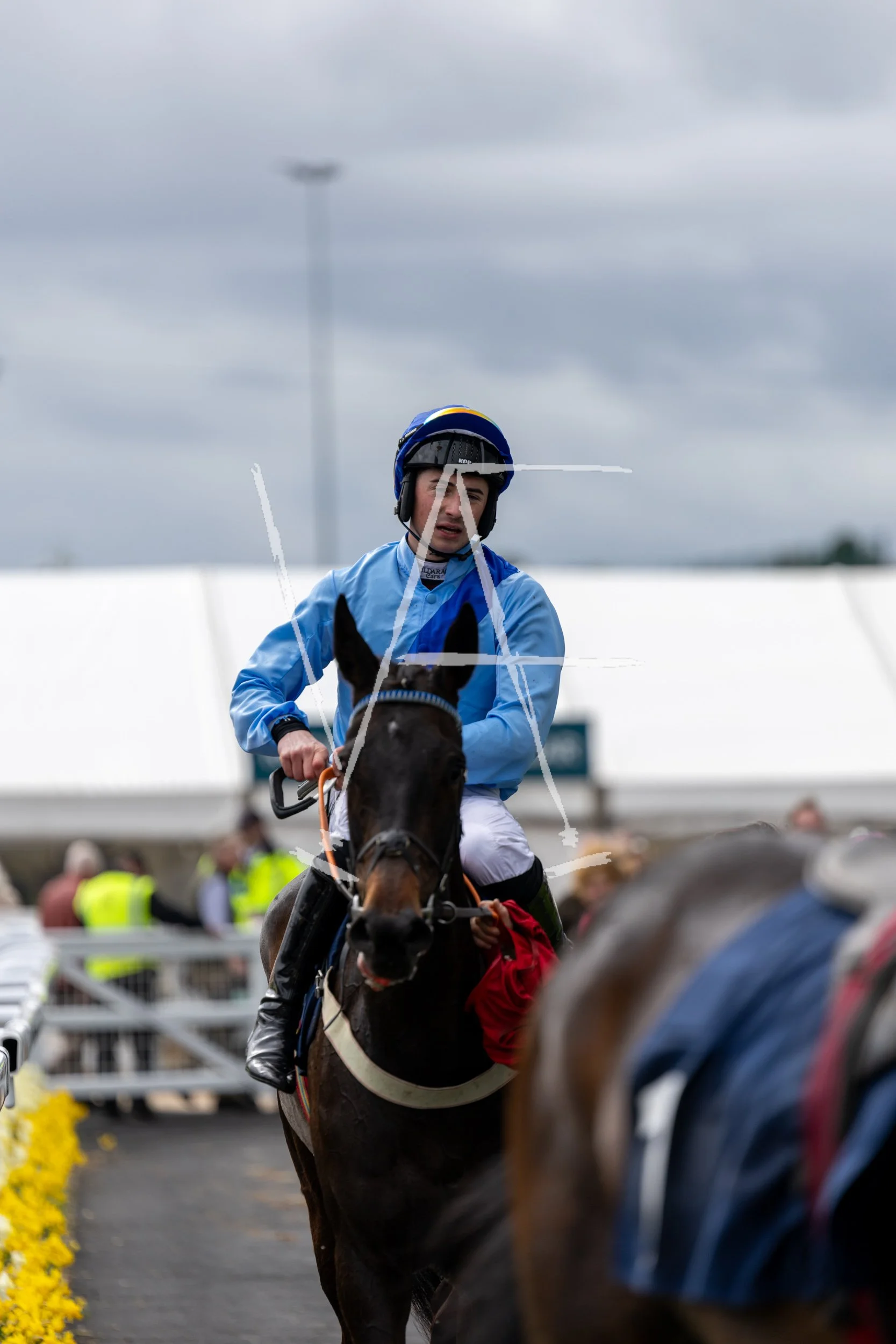 VAF_KelsoRaces-4093.jpg