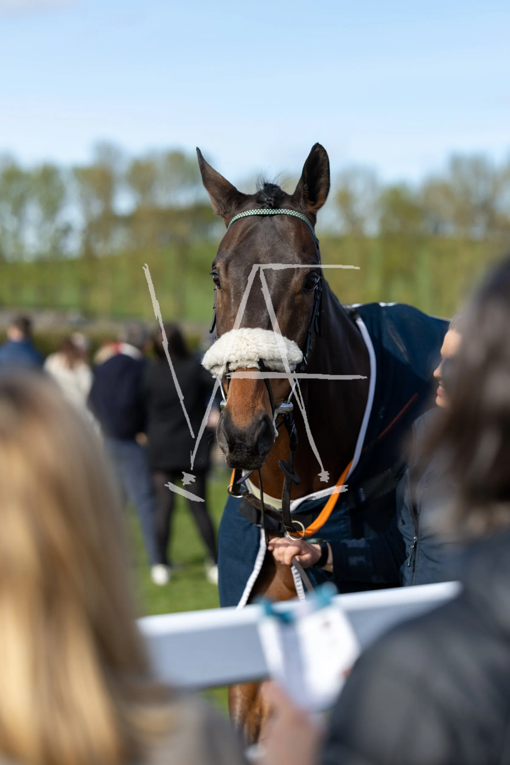 VAF_KelsoRaces-9770.jpg