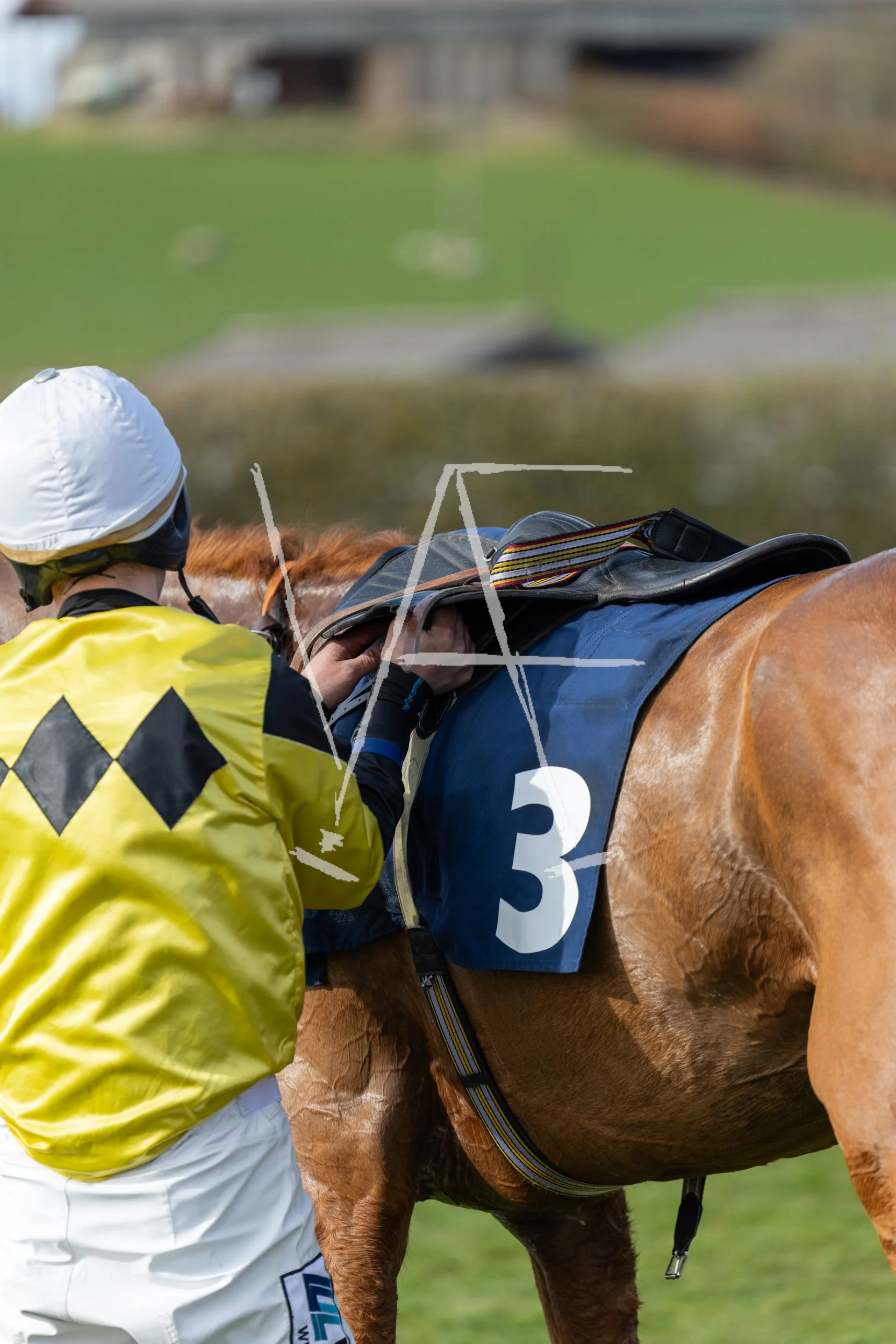 VAF_KelsoRaces-0089.jpg