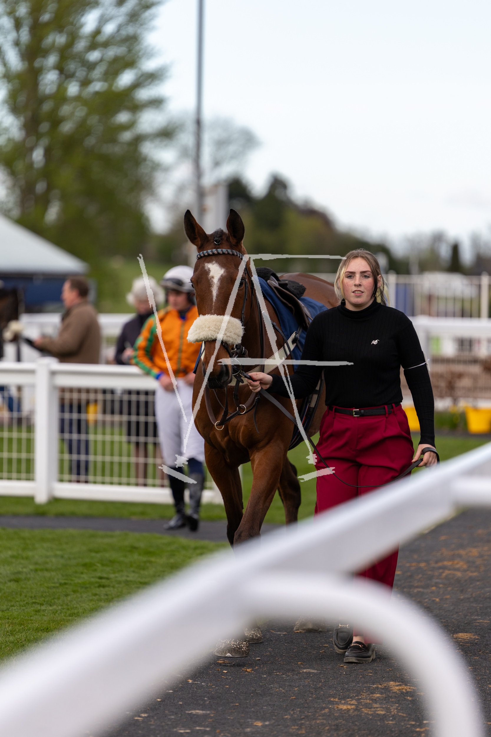 VAF_KelsoRaces-4934.jpg