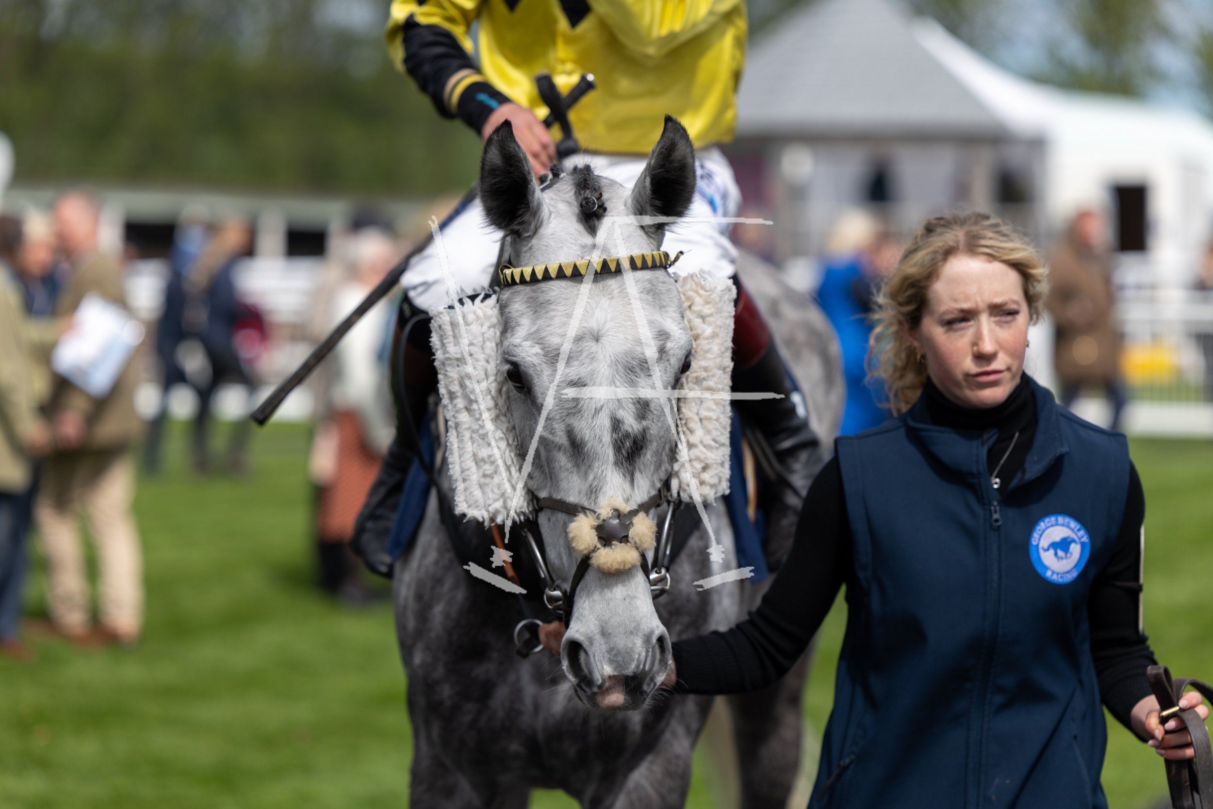 VAF_KelsoRaces-3935.jpg