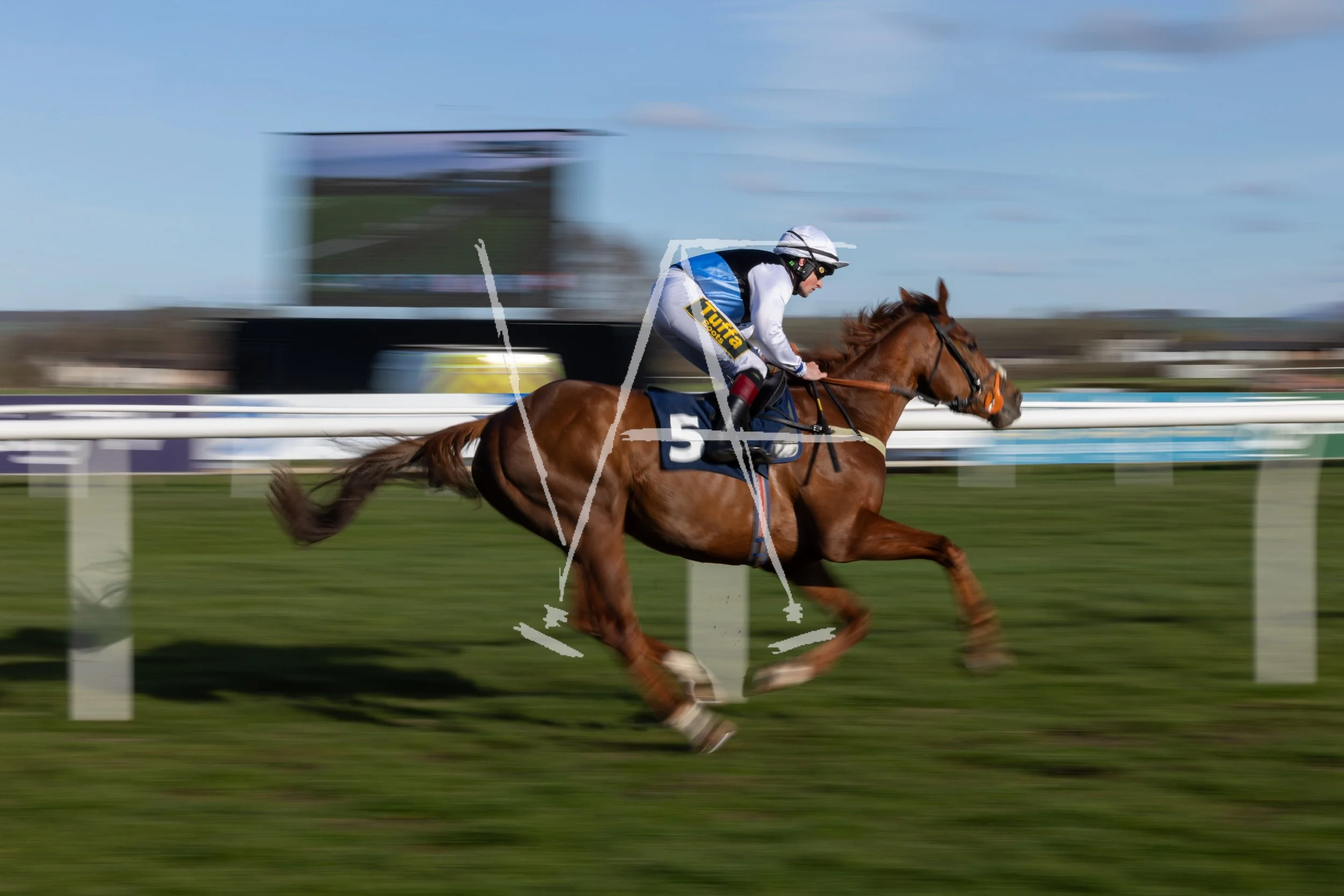 VAF_KelsoRaces-0977.jpg
