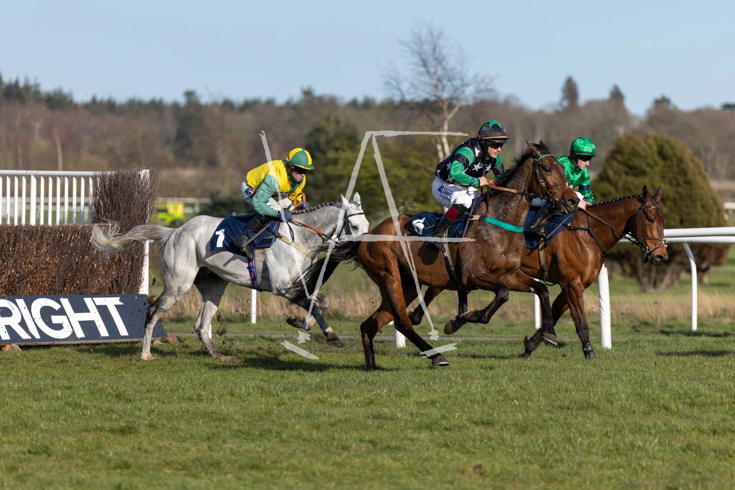 VAF_KelsoRaces-0725.jpg