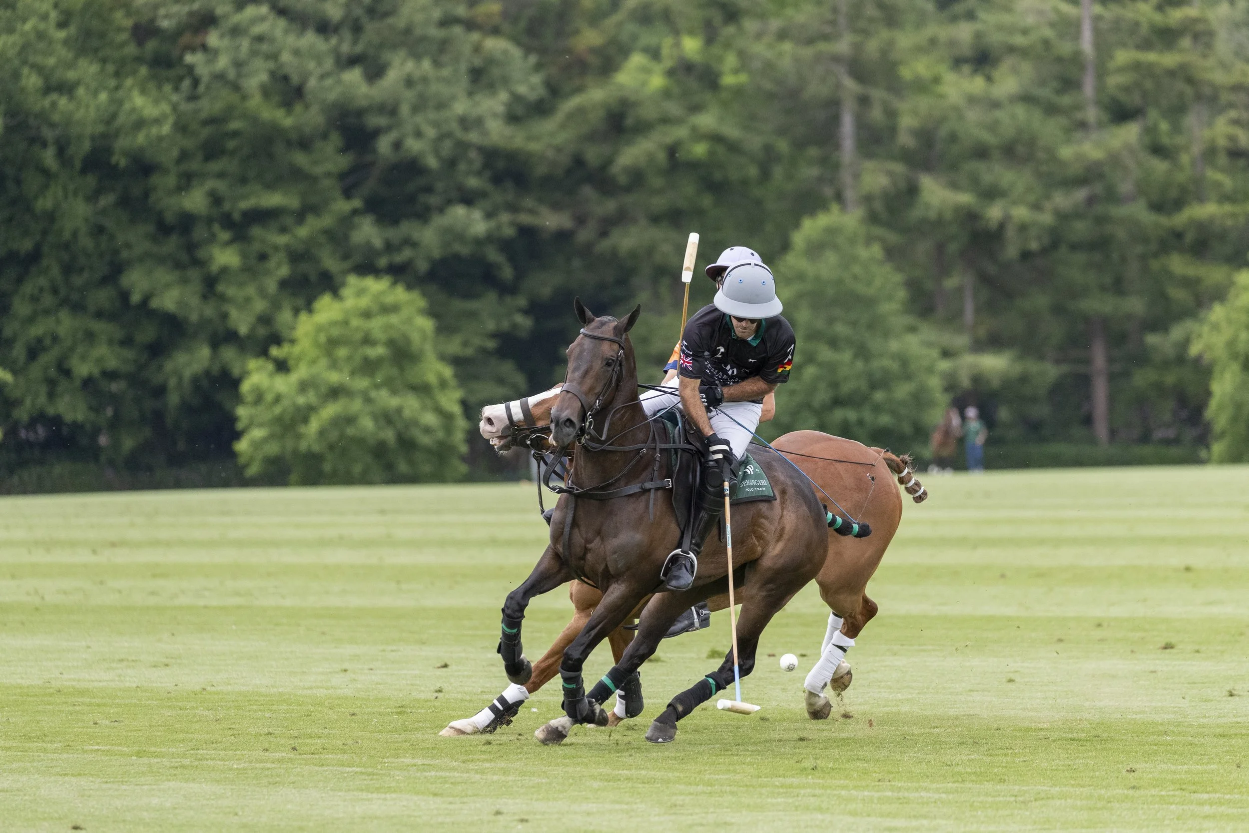 VAF_30052025-4.jpg