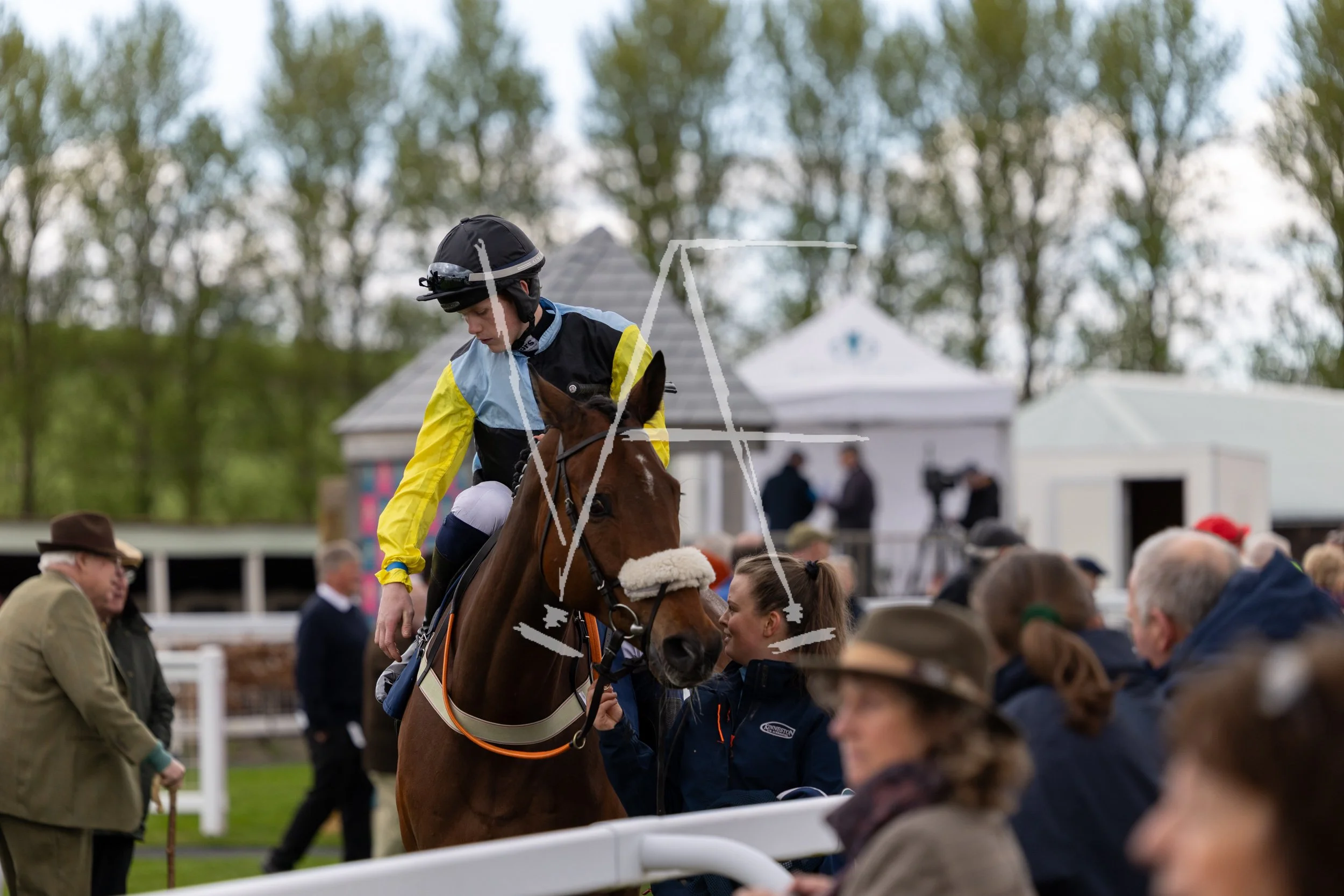VAF_KelsoRaces-4629.jpg
