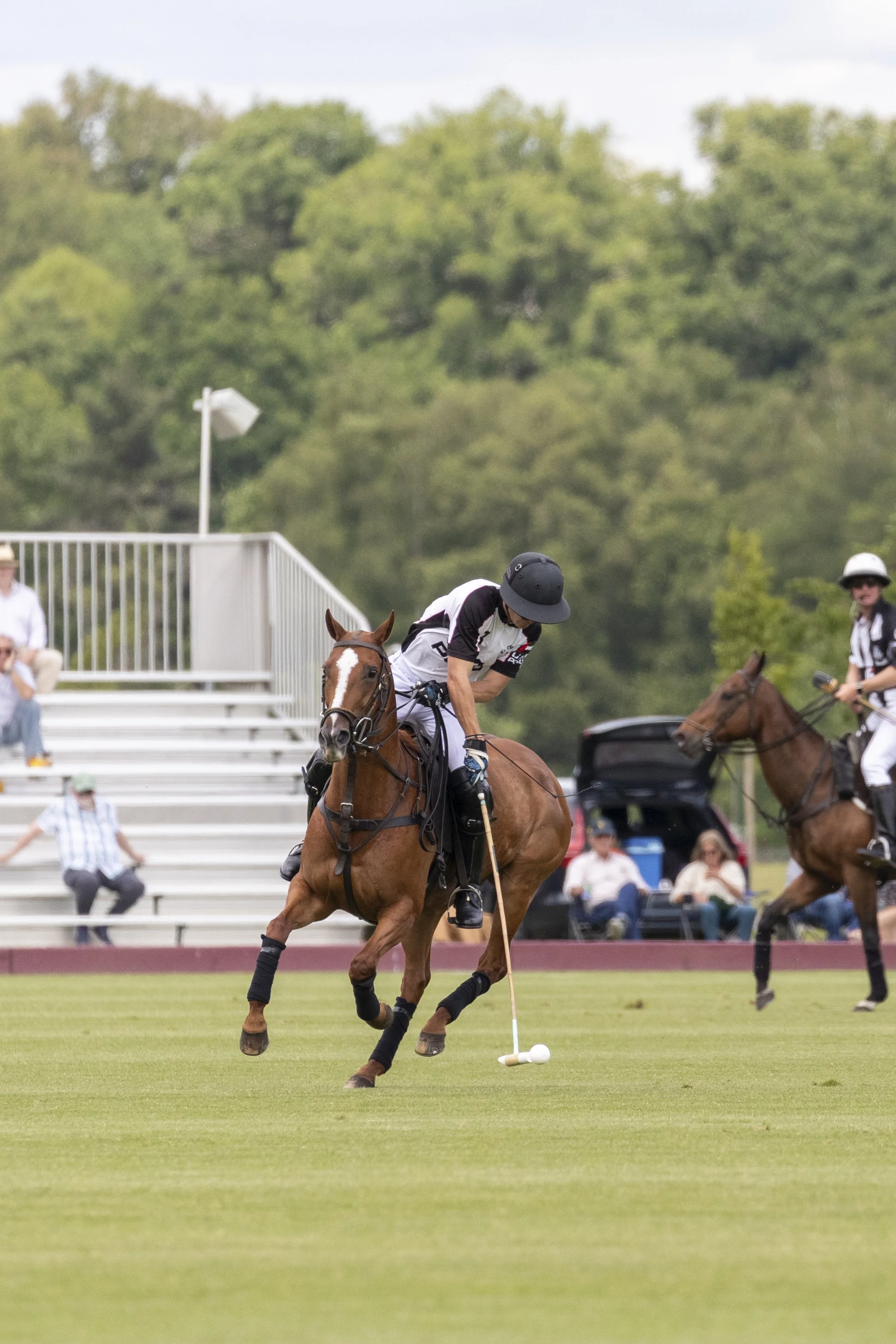VAF_30052025-1.jpg
