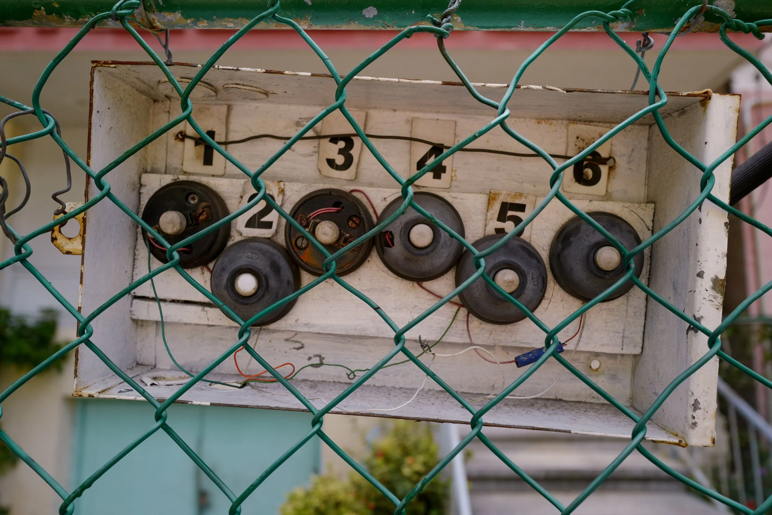 L1040862.jpg