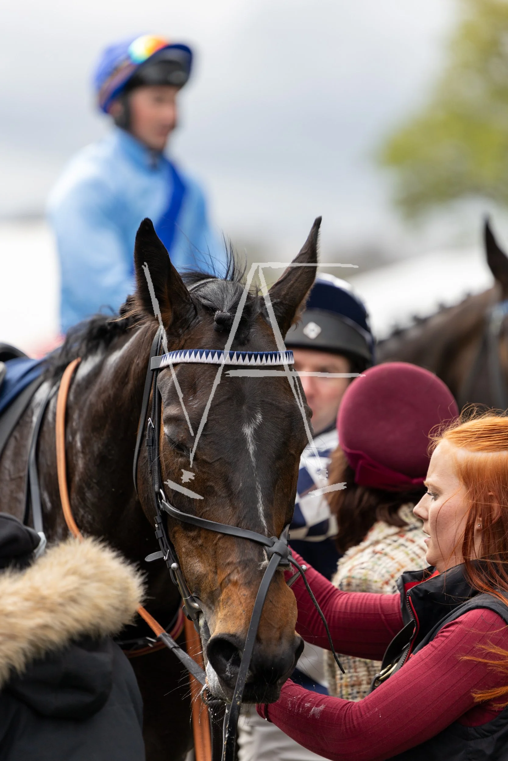 VAF_KelsoRaces-4095.jpg