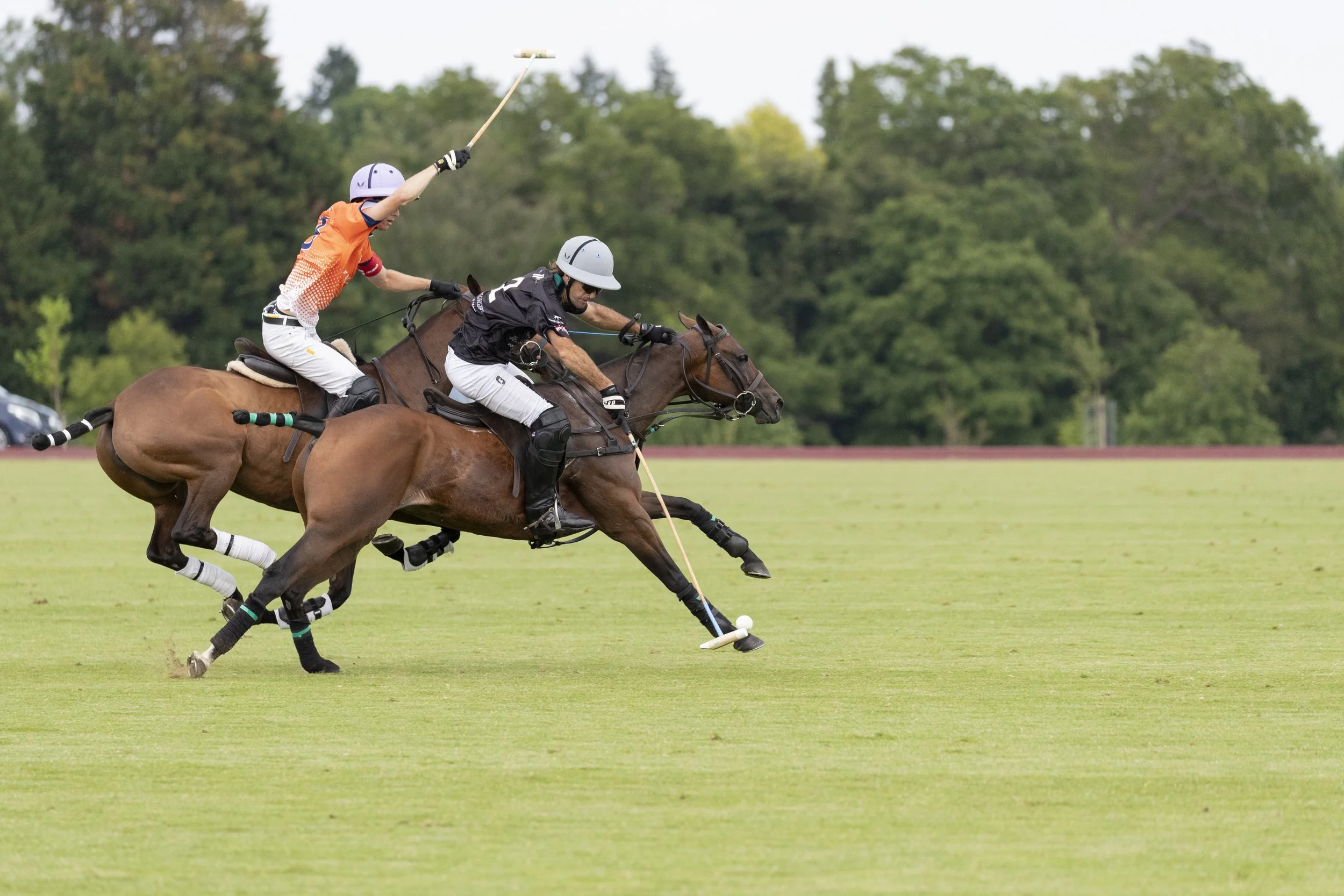 VAF_30052025-5.jpg