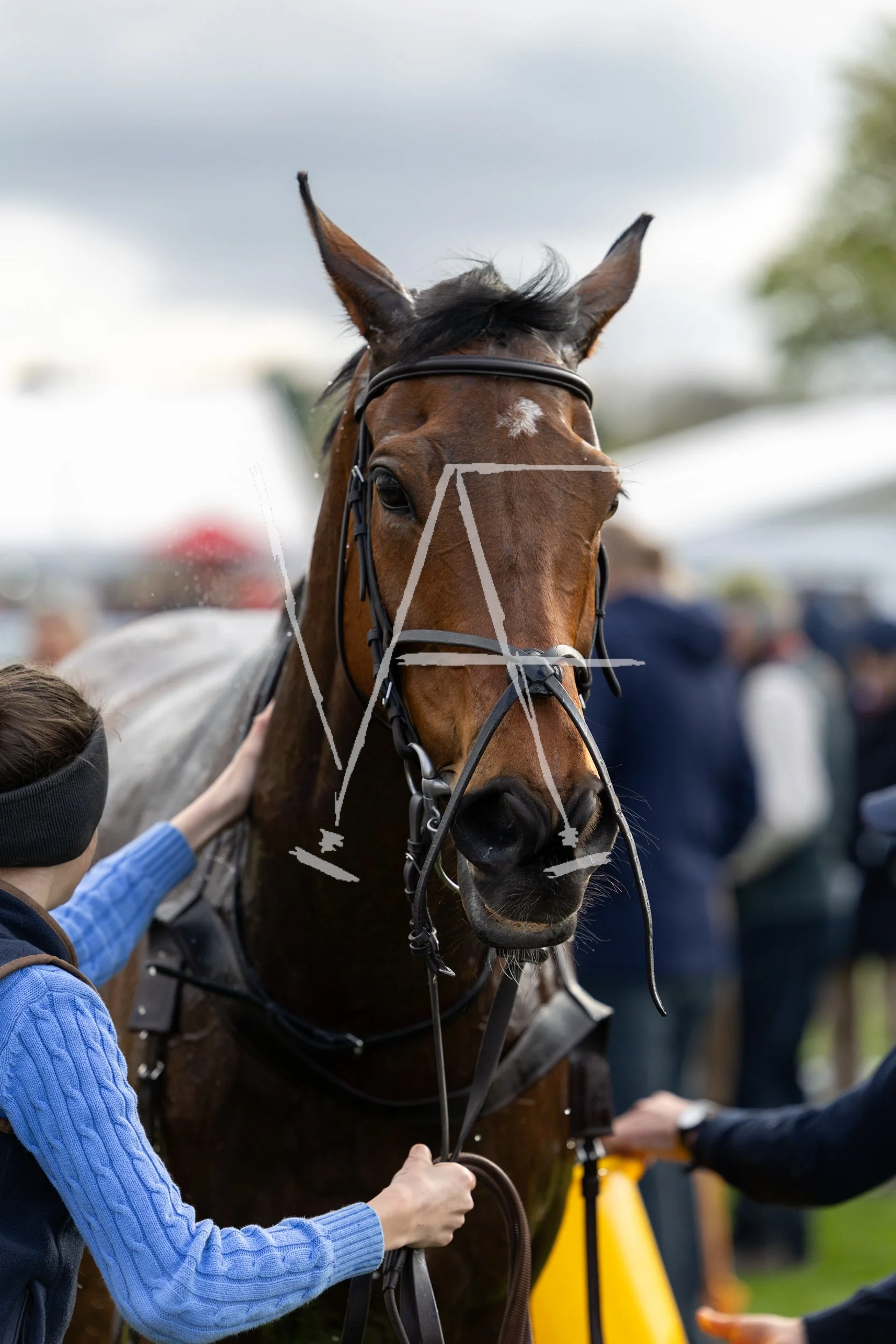 VAF_KelsoRaces-5210.jpg