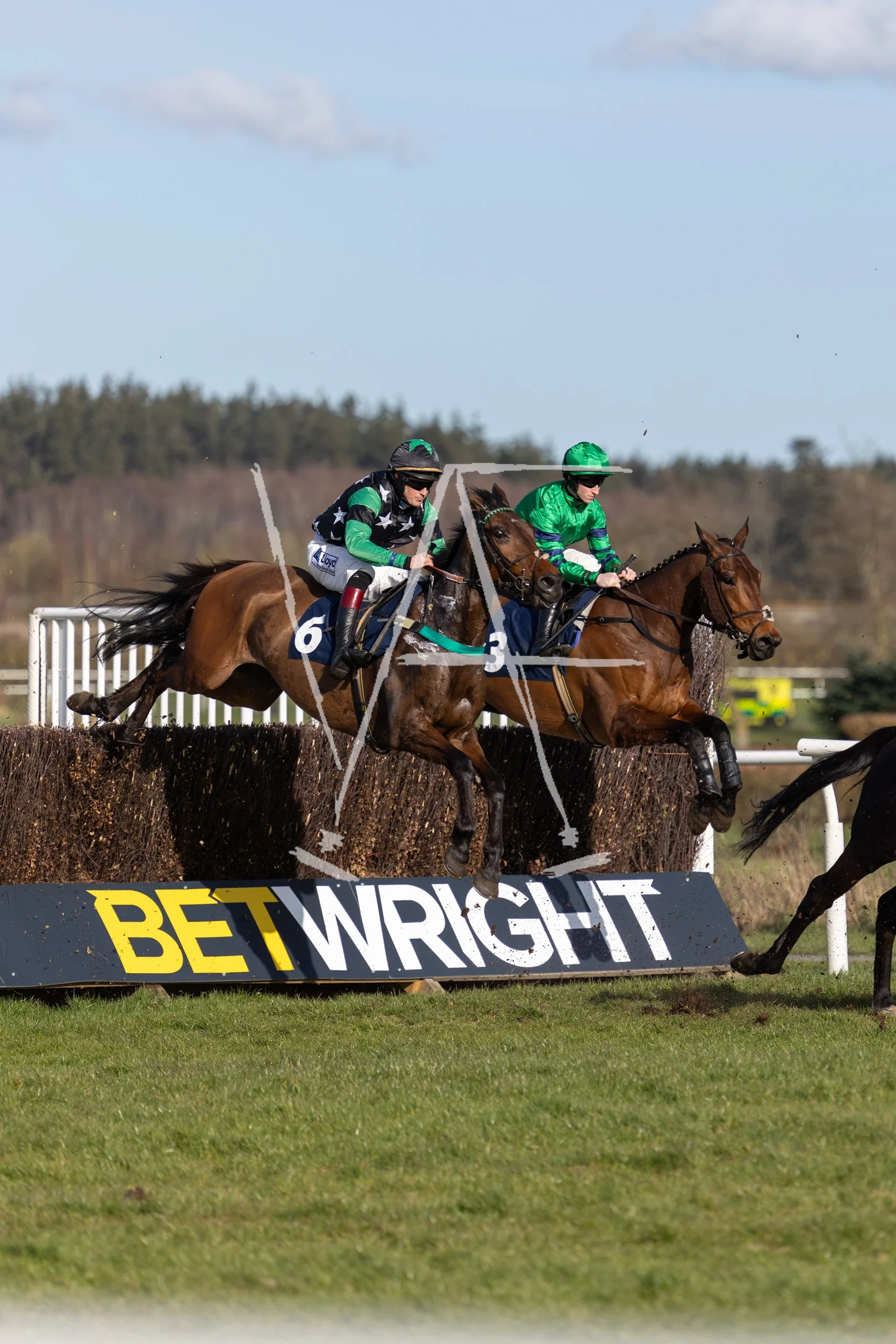 VAF_KelsoRaces-0631-2.jpg