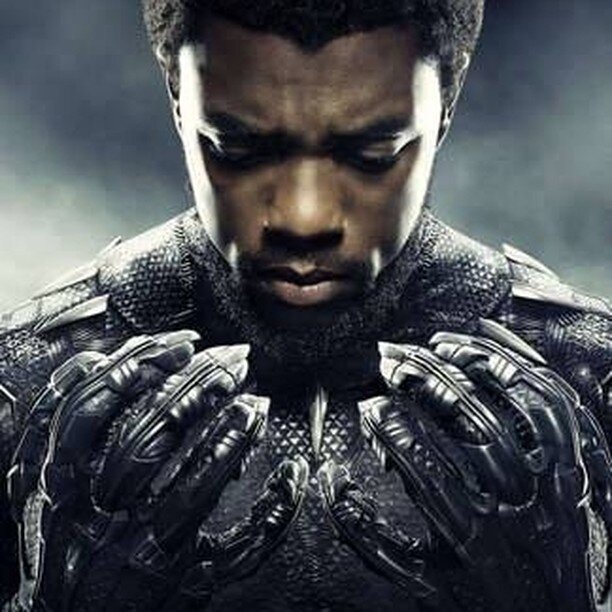 Enter Black Panther! Marvel Comics first black superhero! 
Black Panther
https://analysesbydavid.com/events-of-199999/black-panther
