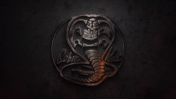 My Opinion and Analysis of Cobra Kai