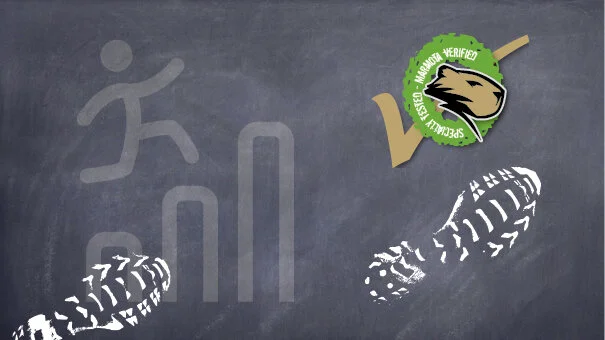 Laufeinstieg (Anfänger)