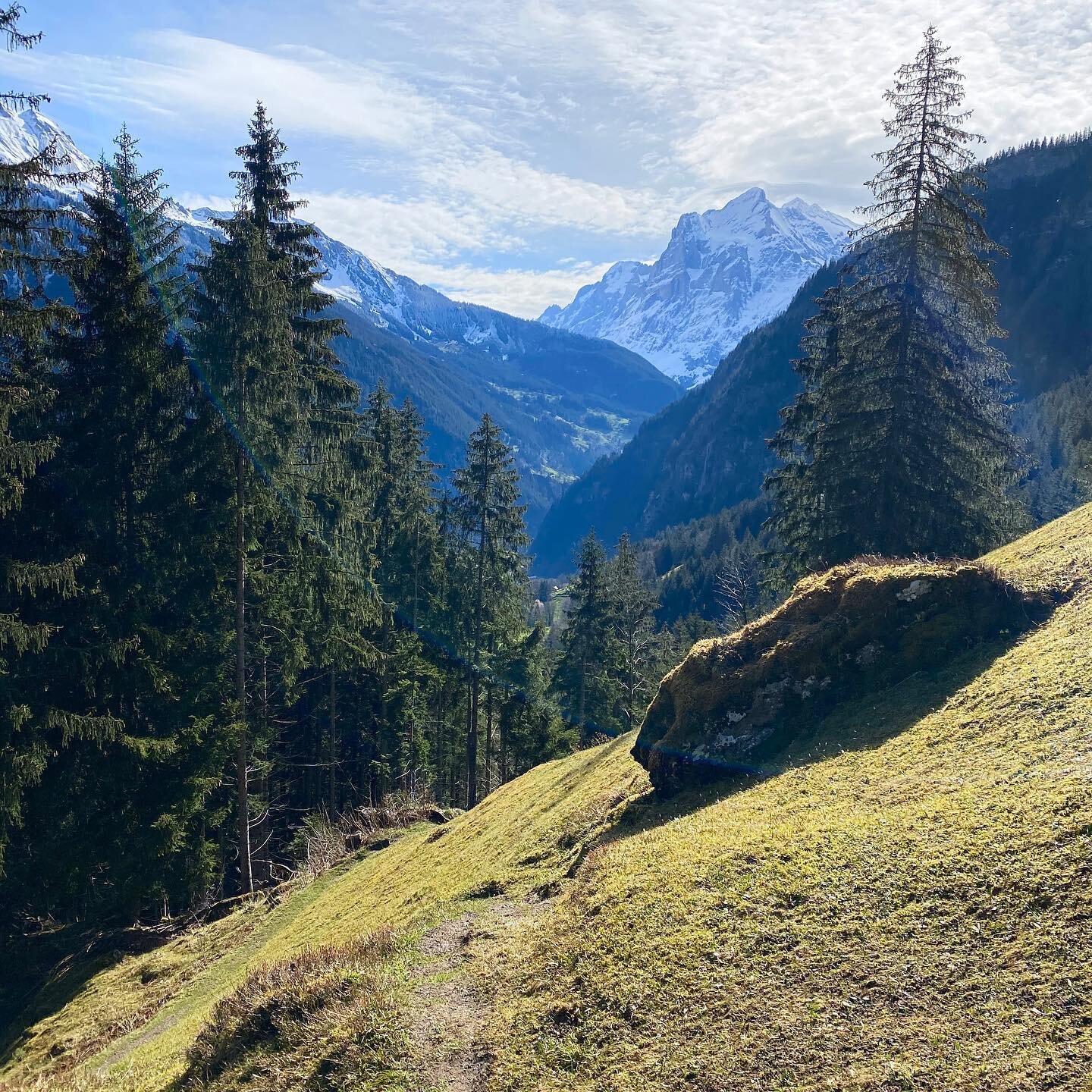 Wir freuen uns auf die Trails in den Bergen und haben schon mal etwas daran #eigerultratrail geschnuppert. #trailrunning #marmotatrailrunning