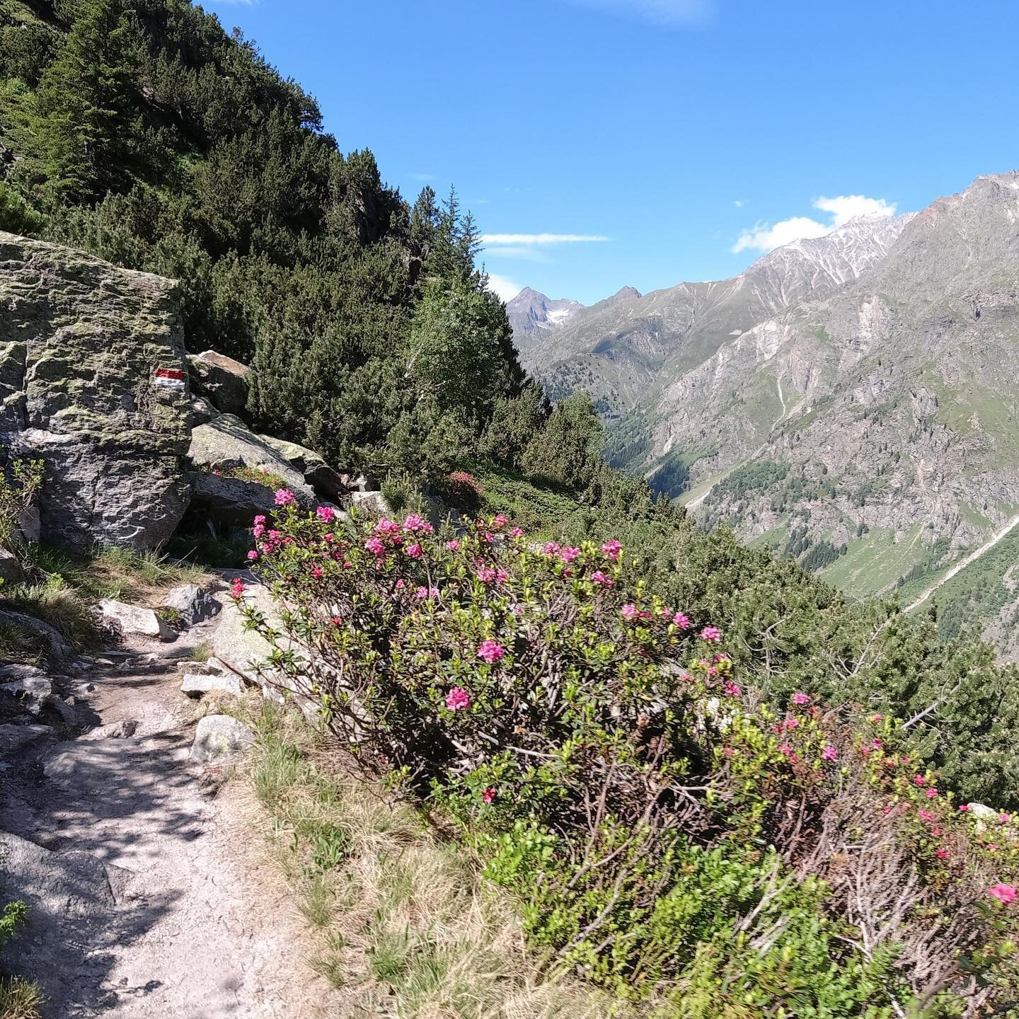 Trailrunning am Dach Tirols in unserem Laufcamp vom 2. bis 4. Juli 2021. Einzigartige Trails warten auf dich, egal ob Anf&auml;nger/-in oder als Fortgeschrittene. Im Hotel 4 Jahreszeiten, dem Hotel mit eigenem Traillaufshop!

#trailrunning #pitztal #