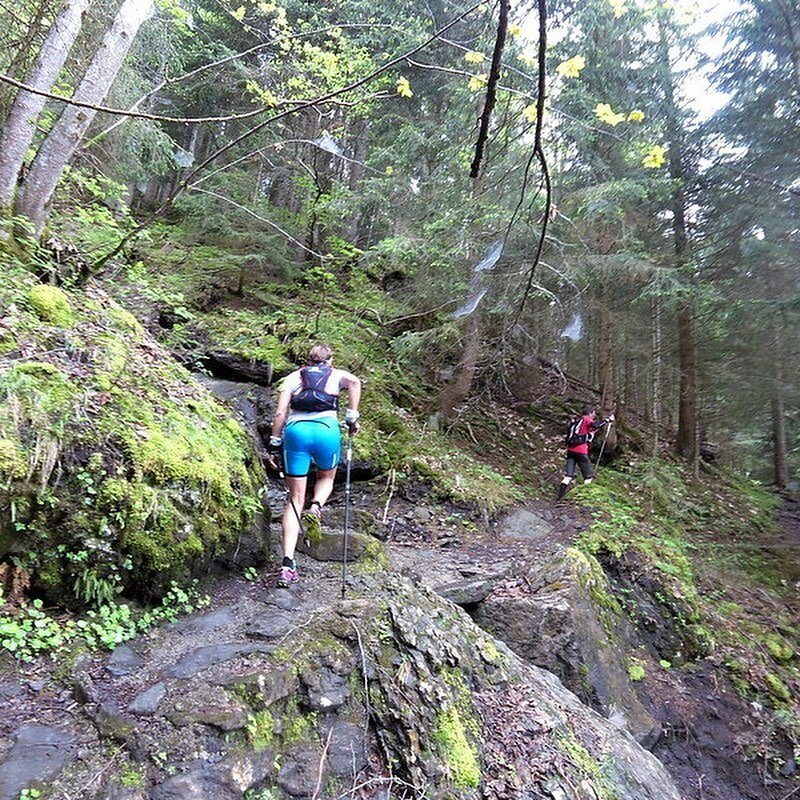 Am Donnerstag, 17. Juni 2021 startet unser 9. Marmota Eiger Camp und zur Vorfreude schwelgen wir etwas in Erinnerungen.

Highlights
&ndash; 3 Touren auf den Strecke des E101
&ndash; Tipps vom Mehrfach-Finisher des E101
&ndash; Down-/Uphill-Laufschulu