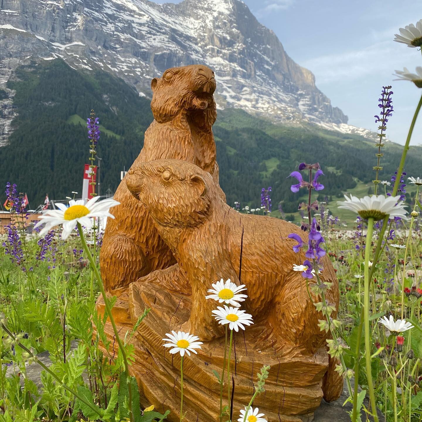 Gestern hatten wir einen wundervollen Tag in unserem Marmota Eiger Camp. Alles war dabei und etliche Kilometer wurden gesammelt. Dank den Uhren von Coros wussten wir immer wo wir sind. 

#exploreperfection #marmotatrailrunning #trailrunning #corosape