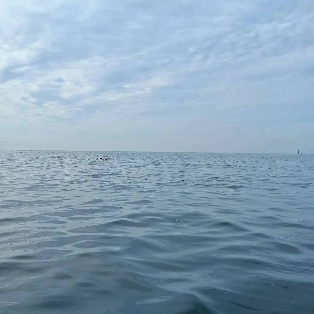 Eddystone swin update, Lighthouse is 3 miles behind the swimmers. Heading for Wembury landfall.