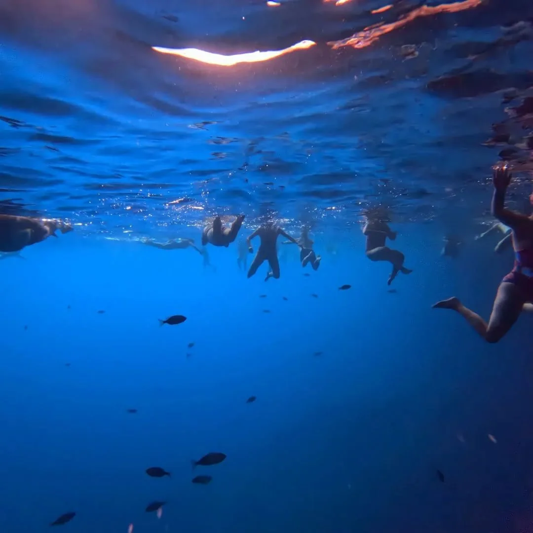 What a 5 day experience. Lots and lots of pool drills and 3 amazing sea swims, off beaches, rocky coves, and even in a cave. 
Learnt so much from @swimcamp.ireland, thank you everyone for welcoming us to your club and pushing us harder and faster tha