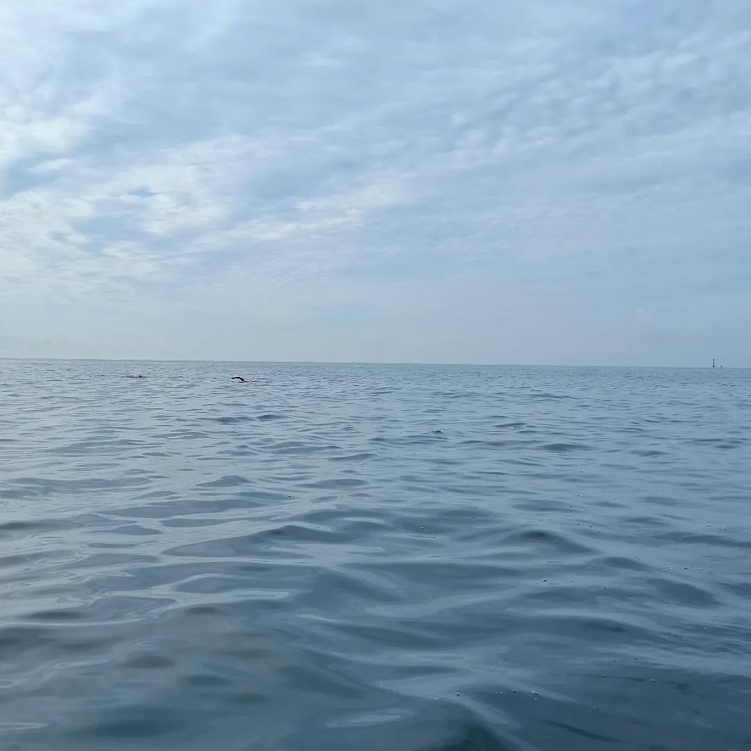 Eddystone swin update, Lighthouse is 3 miles behind the swimmers. Heading for Wembury landfall.