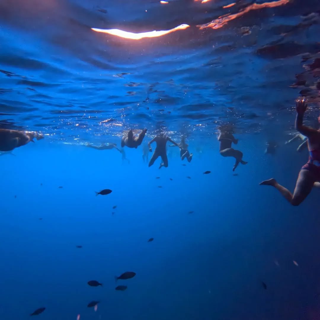 What a 5 day experience. Lots and lots of pool drills and 3 amazing sea swims, off beaches, rocky coves, and even in a cave. 
Learnt so much from @swimcamp.ireland, thank you everyone for welcoming us to your club and pushing us harder and faster tha