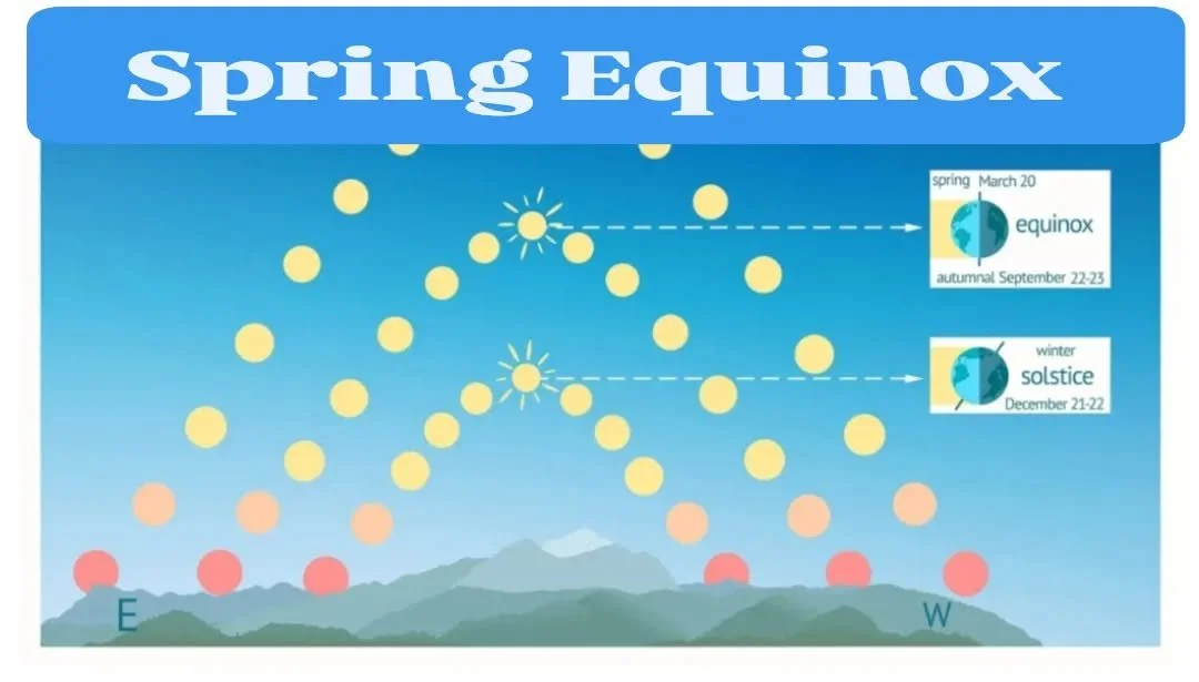 Hurrah the Sunshine is getting higher on the sky.
Enjoy your weekend dips and swims wherever you are.
Spring is HERE.