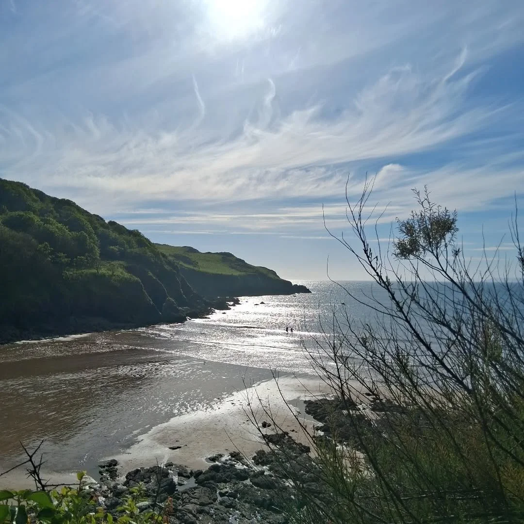 Come with me, flying through the crystal clear waters of South Devon. 
Swim safelty alongside me as I show you the best places to swim, spot spider crabs and tiny fishes. No need to be worried about locations, currents where to get in, or out, as a  