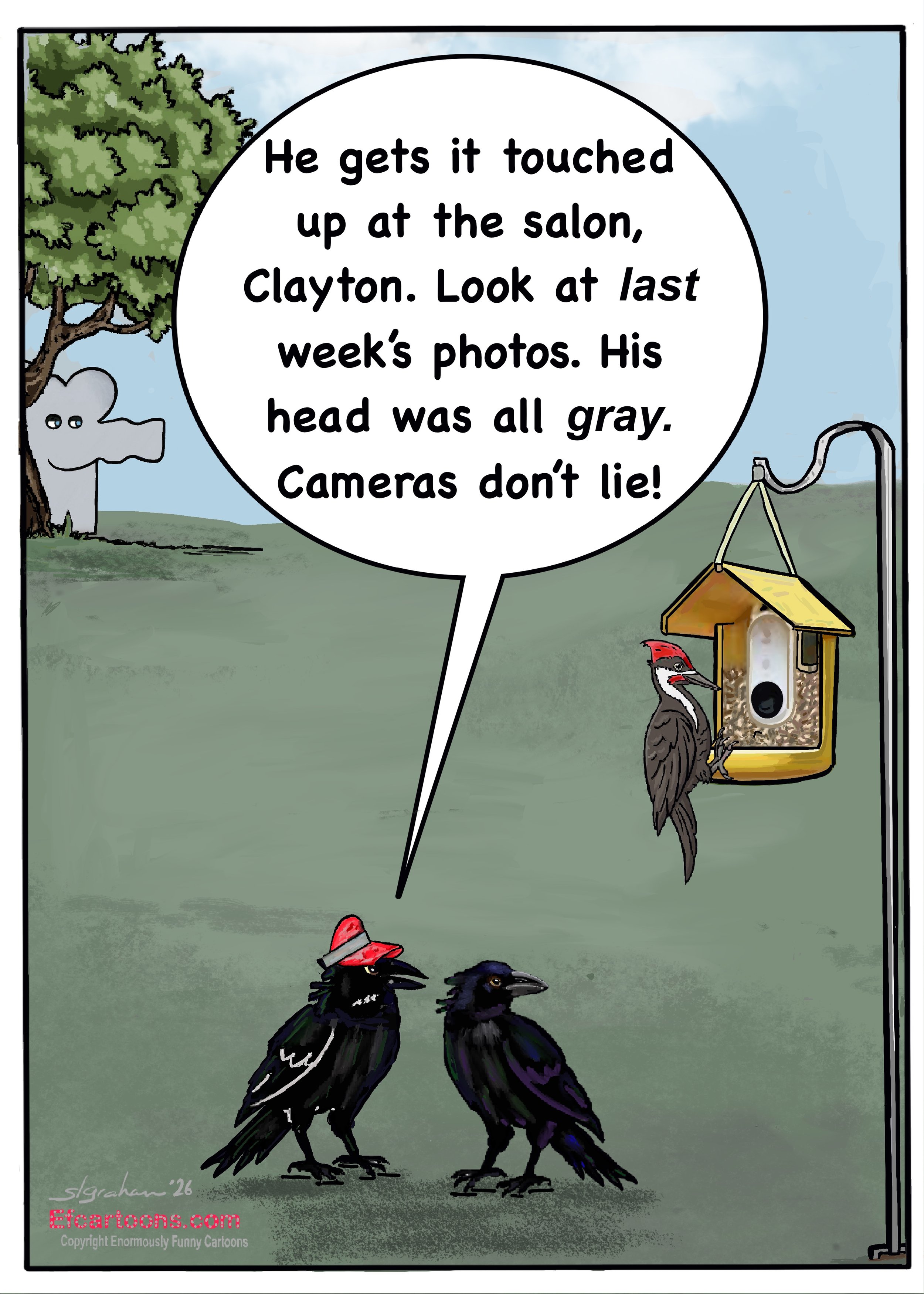 Backside.jpeg