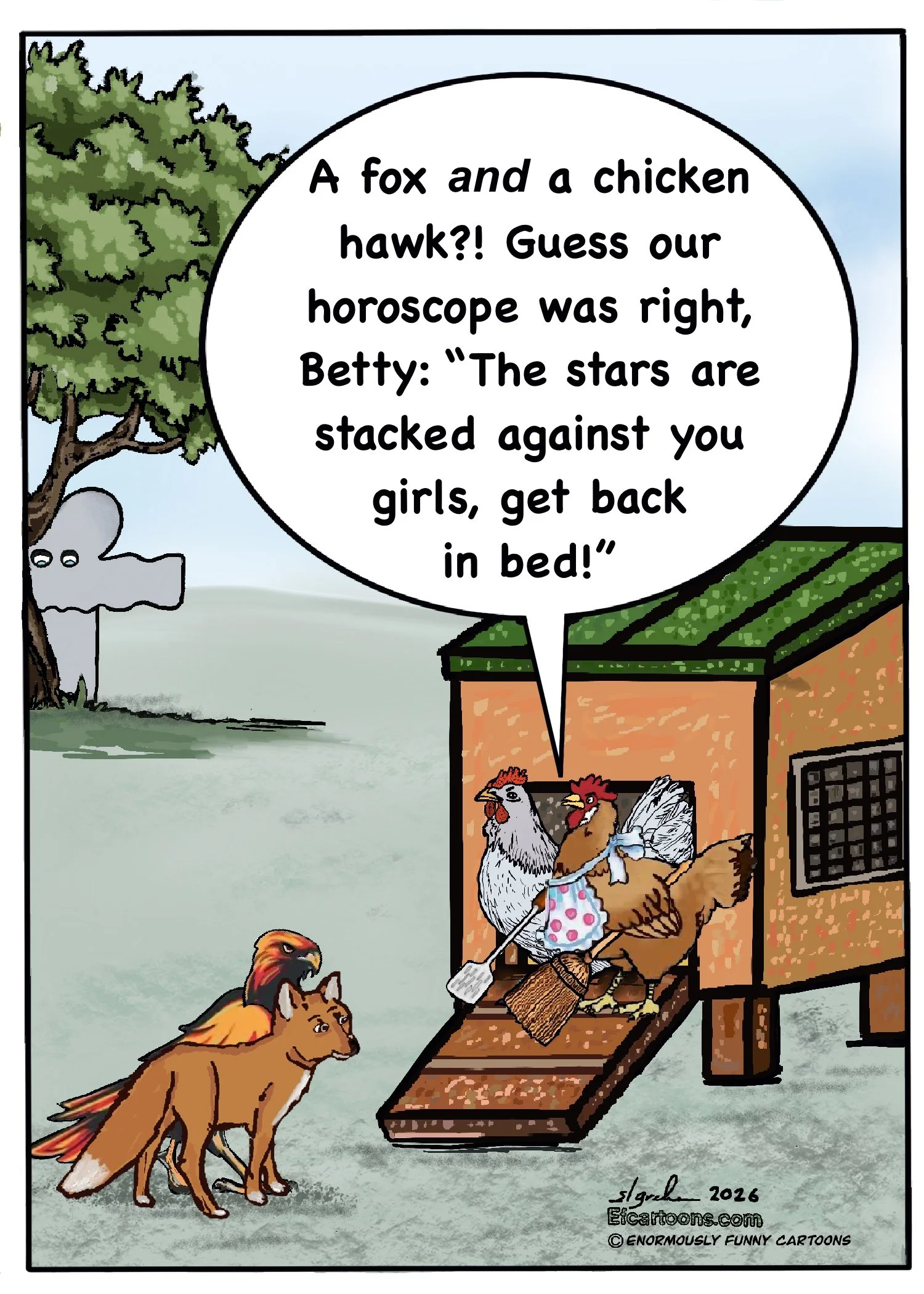 Hawk.jpeg