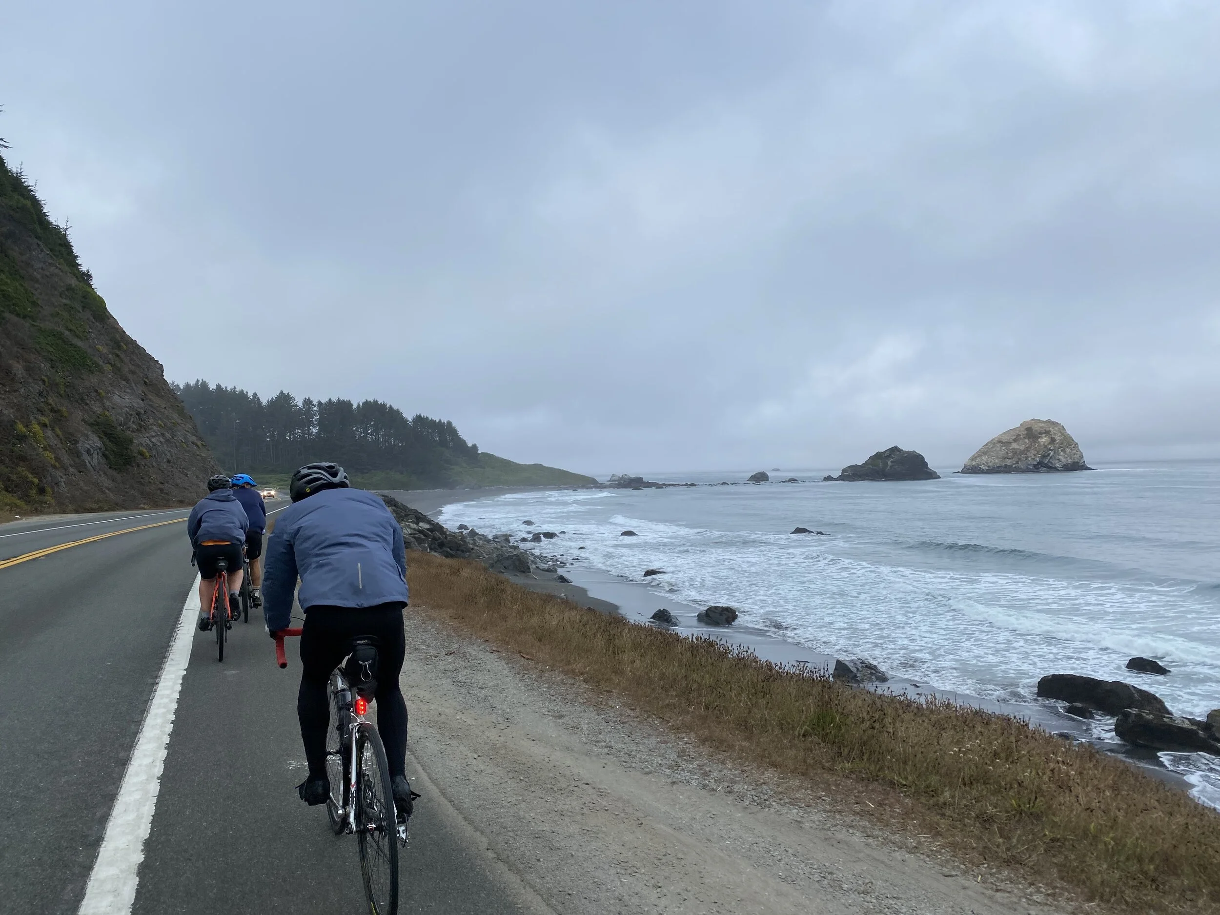Day 73: Crescent City, CA to Arcata, CA-- Colder weather and bigger trees