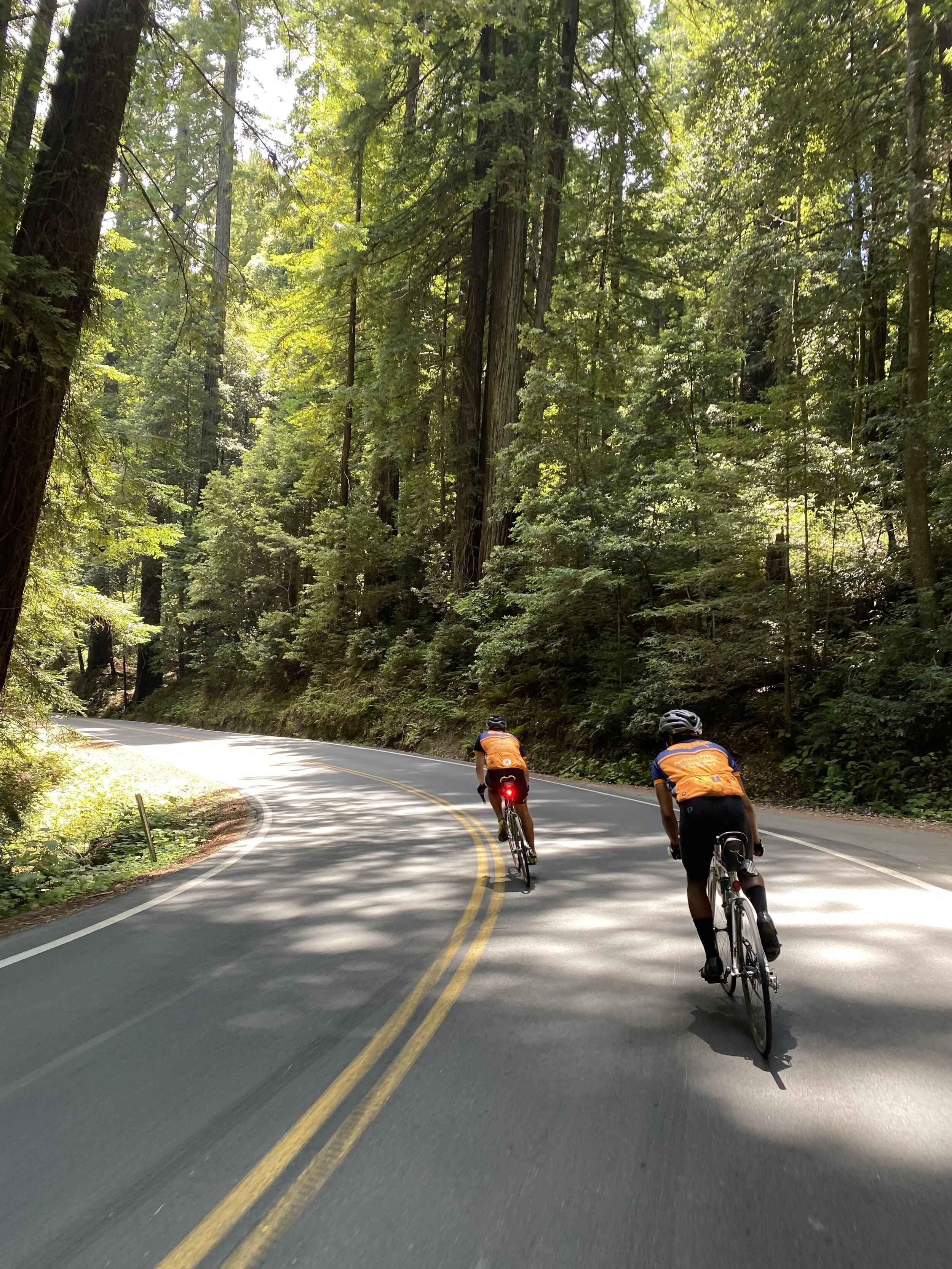 Day 74: Arcata, CA to Humboldt Redwoods State Park, CA-- There was a hill