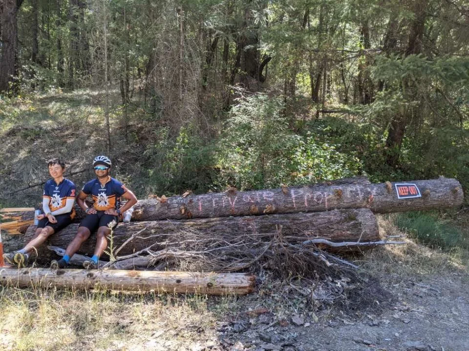 Day 75: Humboldt Redwoods, CA to Willits, CA-- Hills, miles, 'burgs, 'cream.