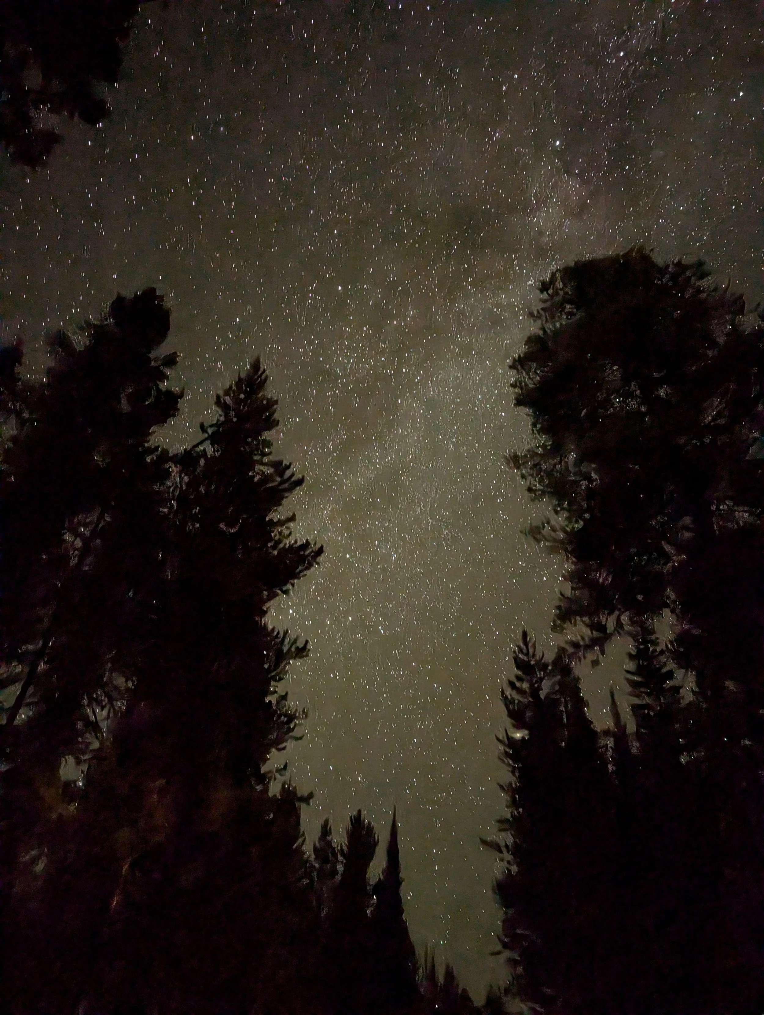 PXL_20250724_055643179.NIGHT.jpg
