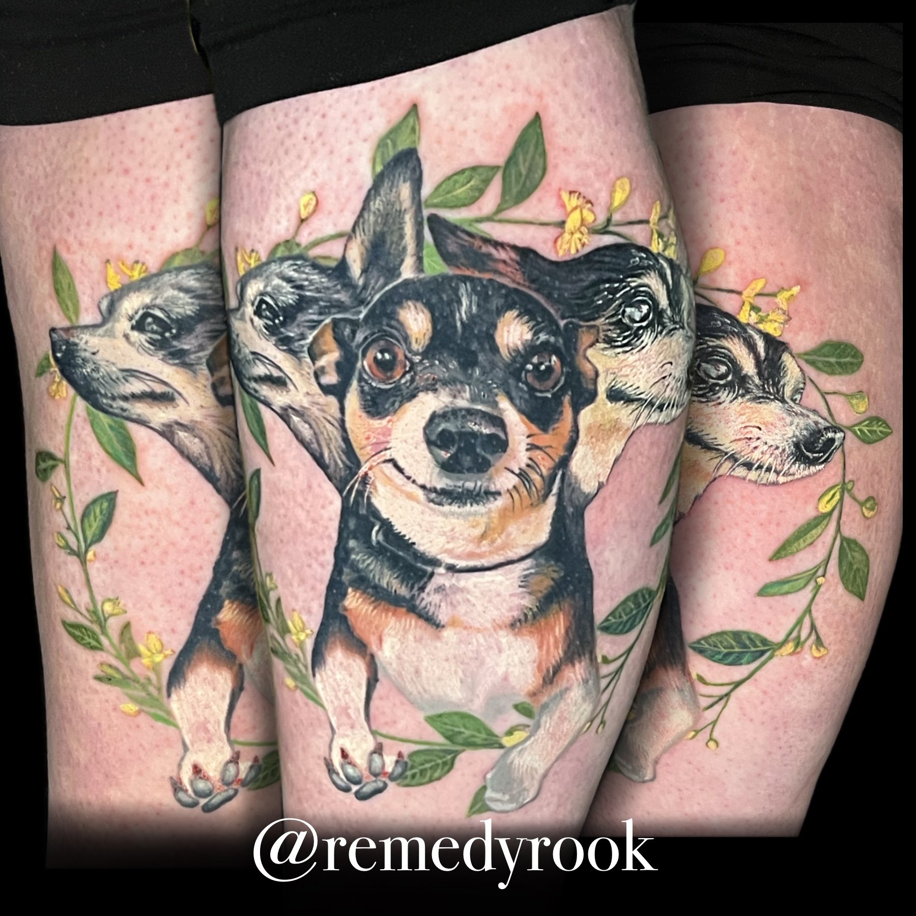 4cutecerberus.jpeg