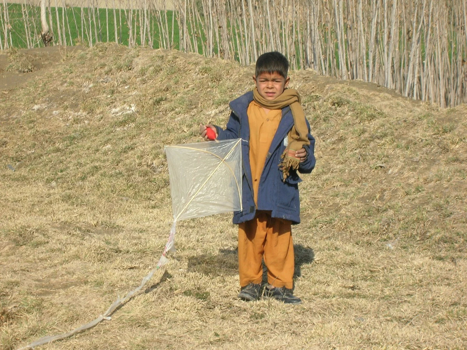 Afghan Boy with Kite.JPG