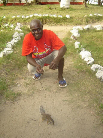 Sierra Leone Pet Chipmunk on Leash.JPG