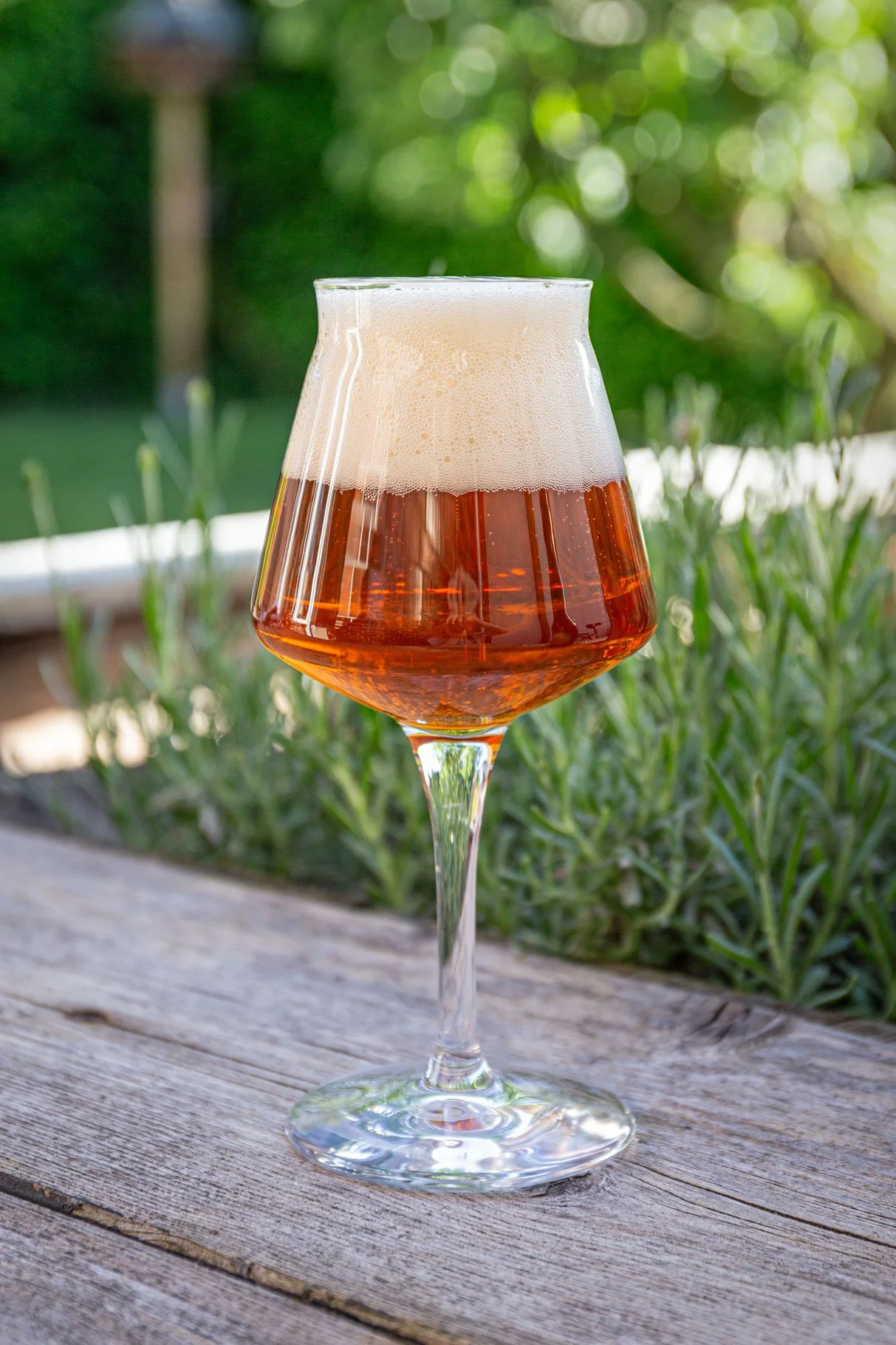 Nectaron Pale Ale