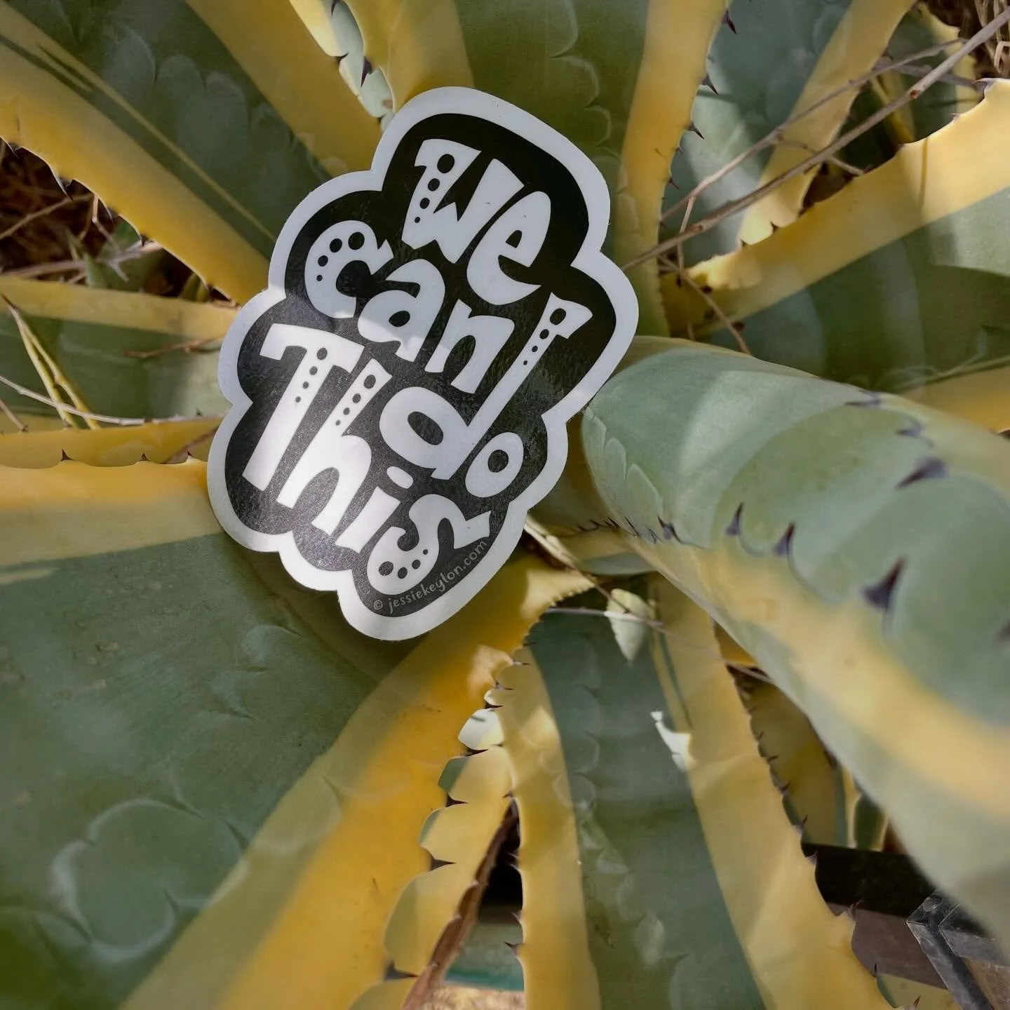 Just a reminder&hellip;
.
.
.
#wecandothis #stickeravailableinmyshop