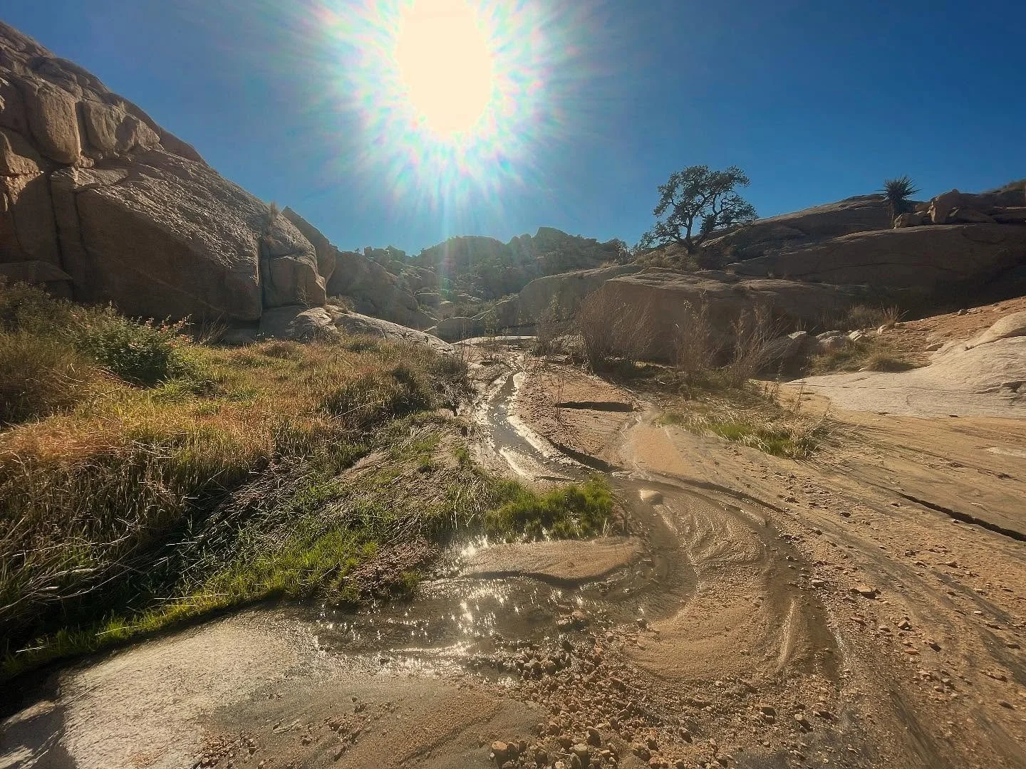 Shop closed tomorrow, see y&rsquo;all on Mane Street Saturday and Sunday!