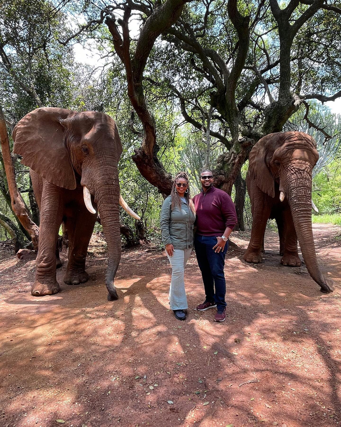 Standing amongst giants 🐘 #exploreafricatour