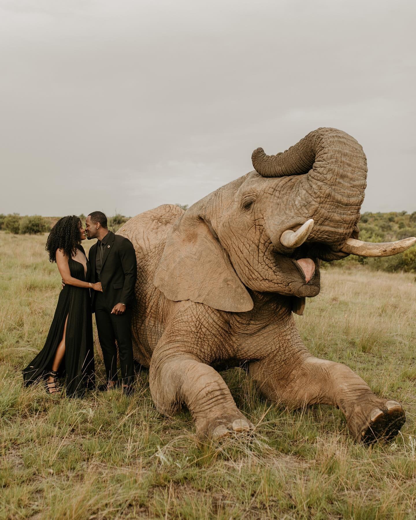 We are so happy to witness their love over the years @mylesmunroejr &amp; @shesomajor 

It was an honor to help execute this shoot in one of their favourite places in the world, South Africa. 🐘 #TheMunroes