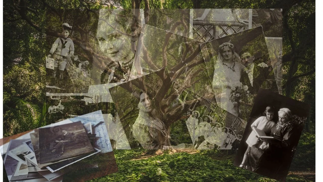 Family Constellations Therapy