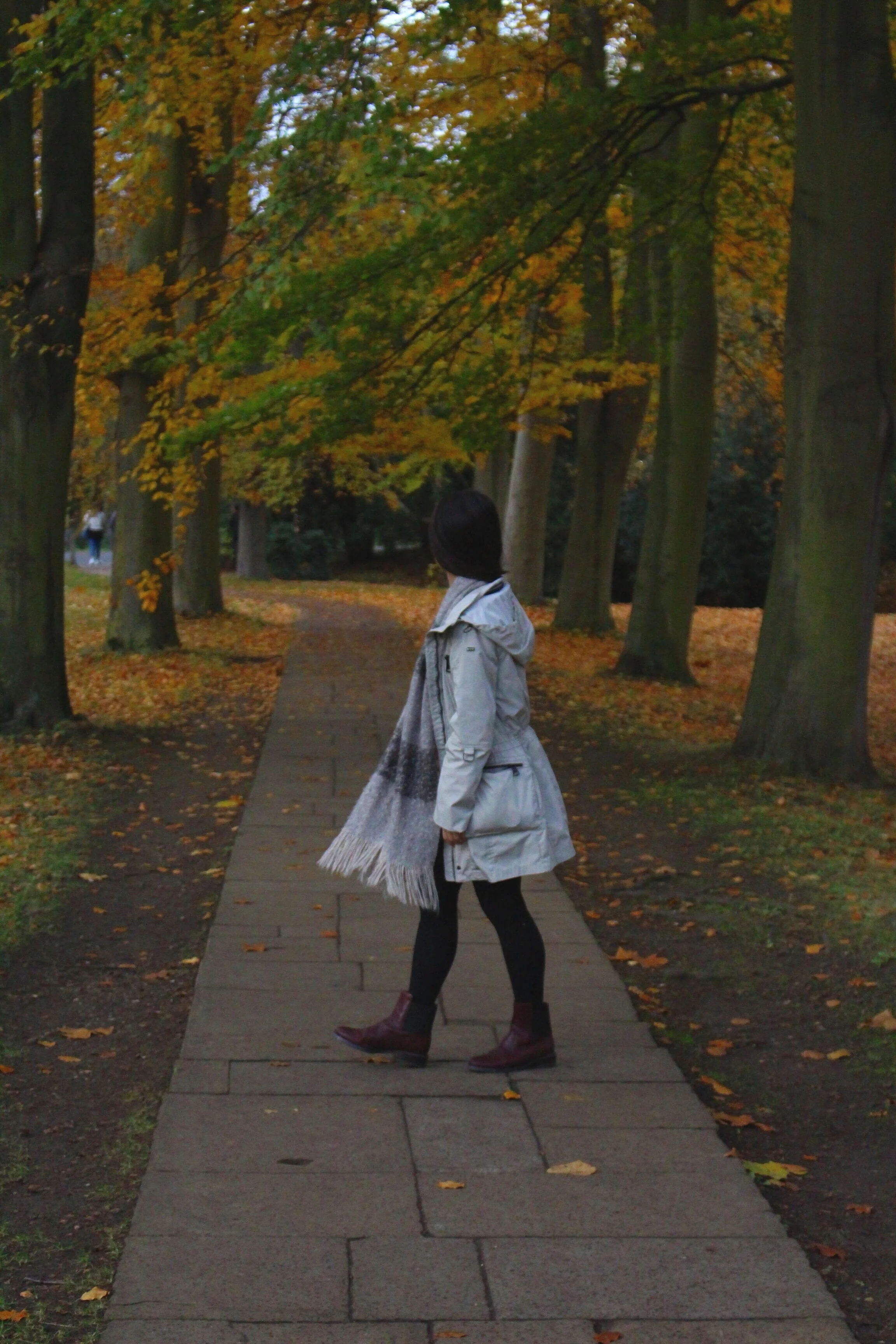 Through the woods