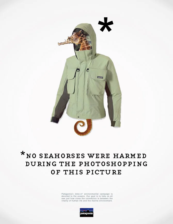 patagonia2.jpg