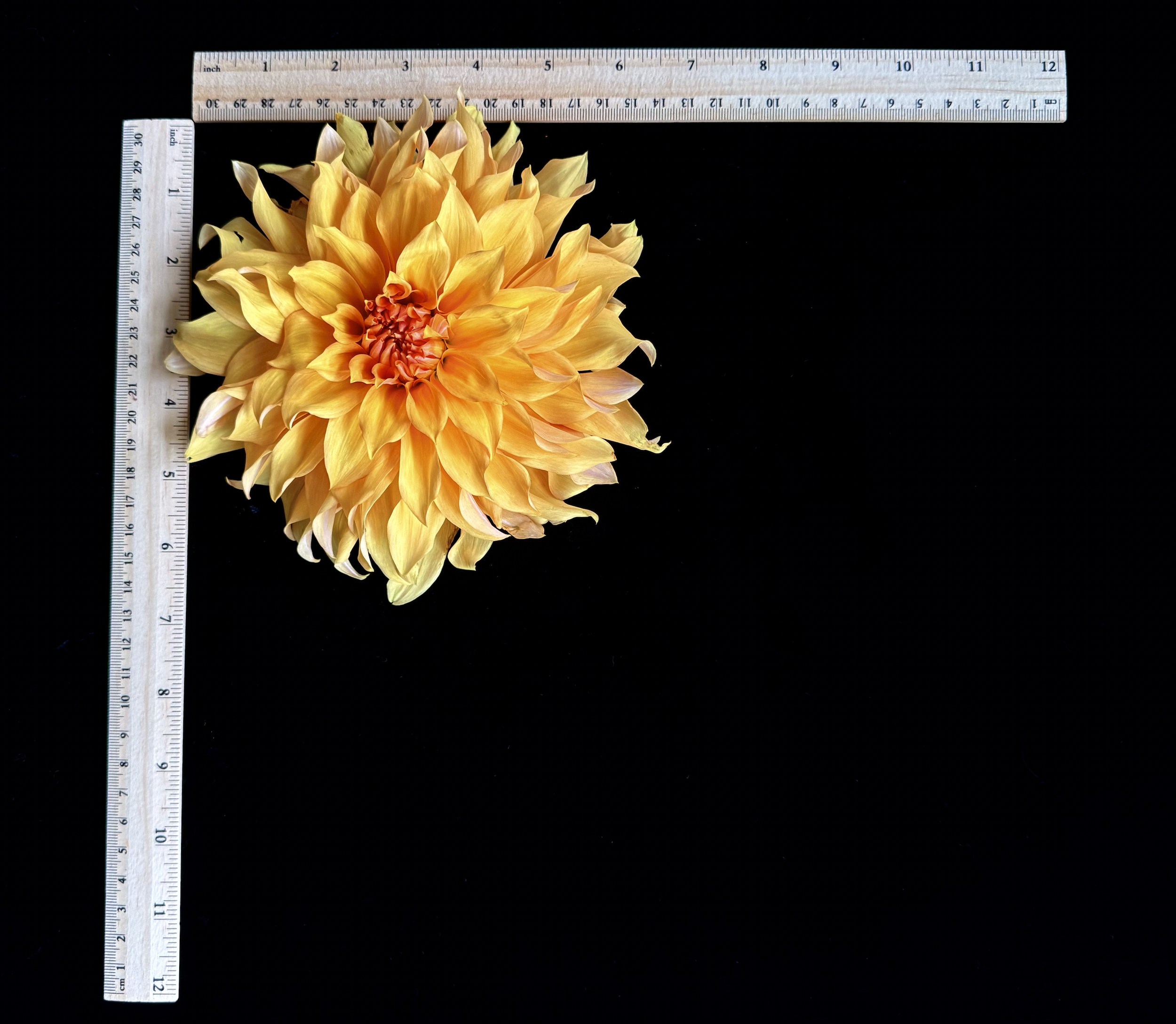 Screen Shot 2025-02-09 at 2.40.29 PM.png