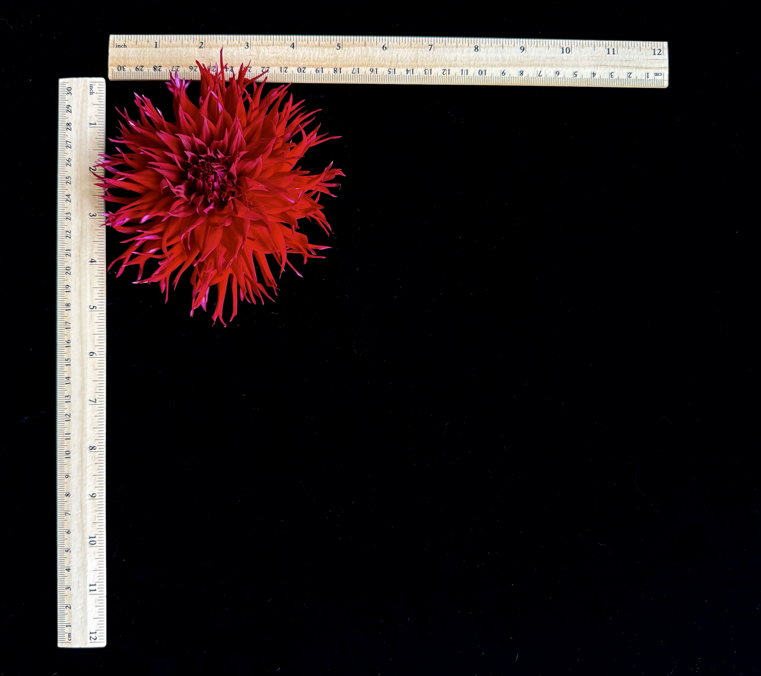 Screen Shot 2025-02-09 at 2.35.13 PM.png