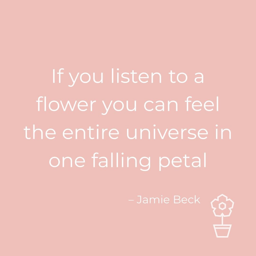 If you listen to a flower you can feel the entire universe in one falling petal. -Jamie Beck. Her new book, An American in Provence, Art Life, and Photography, is a must-have. It is delightful. 
@jamiebeck.co