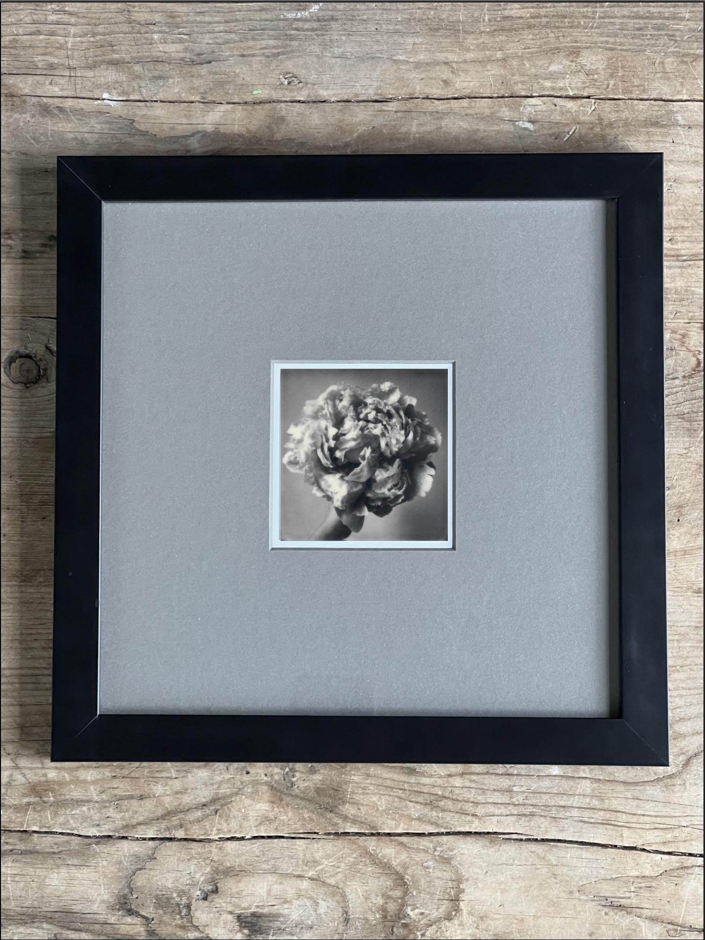 Screen Shot 2024-07-26 at 10.37.46 AM.png