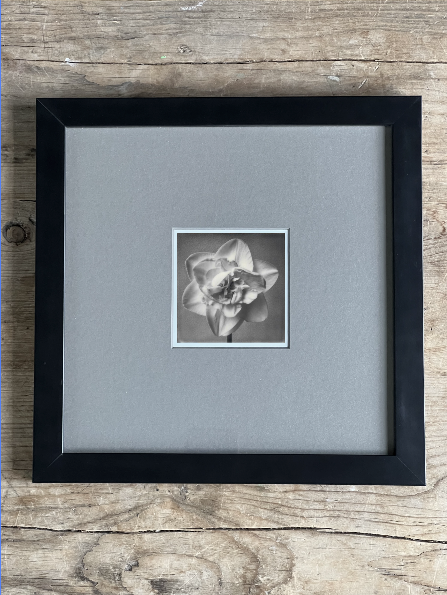 Screen Shot 2024-07-26 at 10.51.14 AM.png